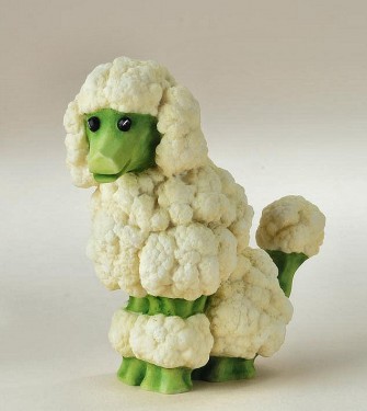4012369HomeGrownCauliflowerPoodle