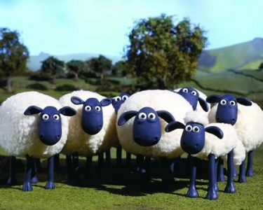 Sheep Downtown?