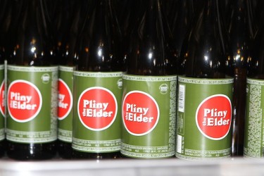 Pliny