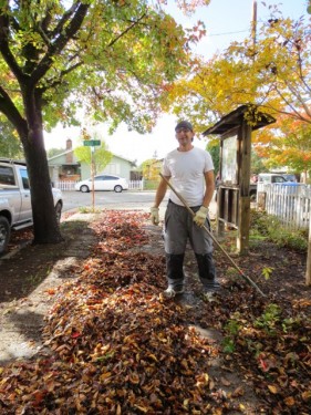 DeMeo Park Fall Cleanup