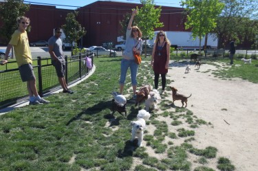 W. E. Small Dog Hour
