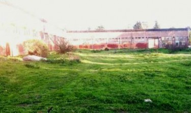 Shakespeare in the Cannery site