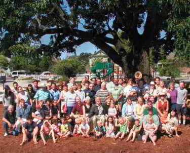 DeMeo Park's walnut tree is a West End landmark.