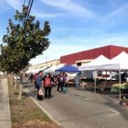 W. E. Farmers Market- Opening Day May 26th