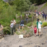 Farmers Market, Music Festival and SR Creek Event This Weekend!