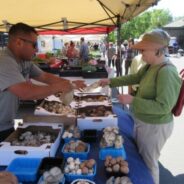 West End Farmers Market, Garden Tour & Stories