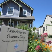 Parking Survey, Garden Tour Success