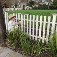 DeMeo Park Fence, Cannabis Facility, W 7th St. Market