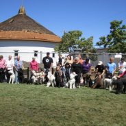 W. E. Poodle Party, March Events, New Sponsor